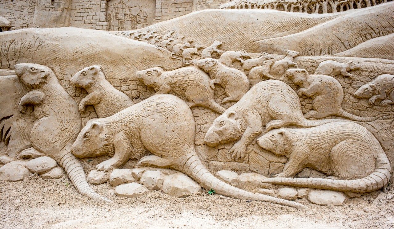 Ratten als Skulpturen aus Sand, die Kopf an Schwanz von rechts nach links laufen