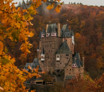 In einem Herbstwald mit orangenfarbenen Blättern steht auf einem Hügel ein Schloss. Im Vordergrund steht eine Eiche.