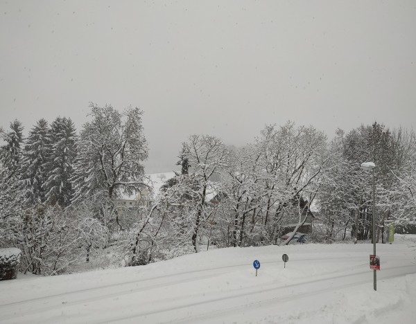 Verschneite Straße mit schneebedeckten Bäumen und Verkehrsschildern bei nebligem Himmel