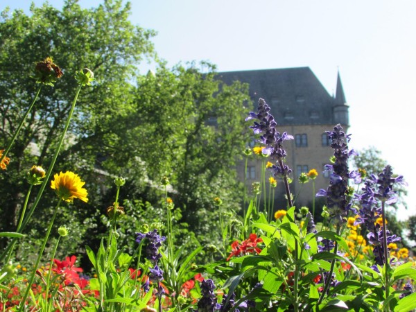 Bunte Blumen und grüne Pflanzen im Vordergrund vor einem unscharfen Schloss mit spitzem Turm im Hintergrund