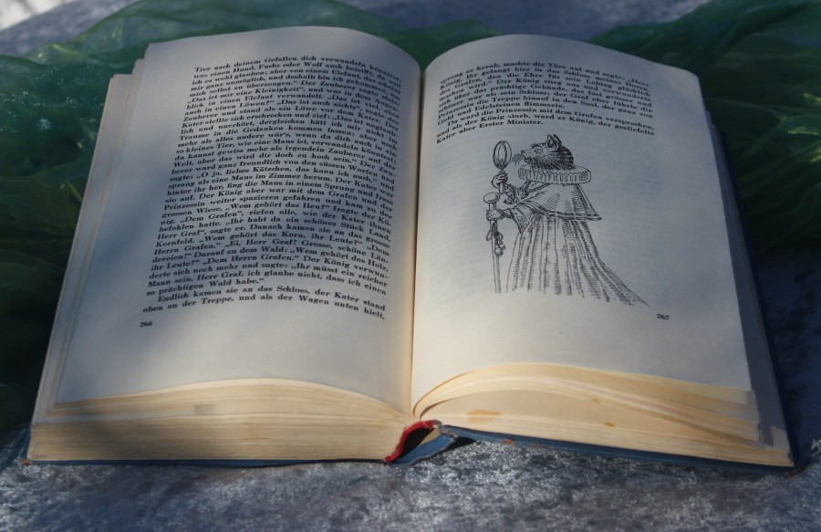 Aufgeschlagenes Buch mit Märchentext auf beiden Seiten und einer schwarz-weißen Illustration einer Figur mit Zepter und Kragen auf der rechten Seite