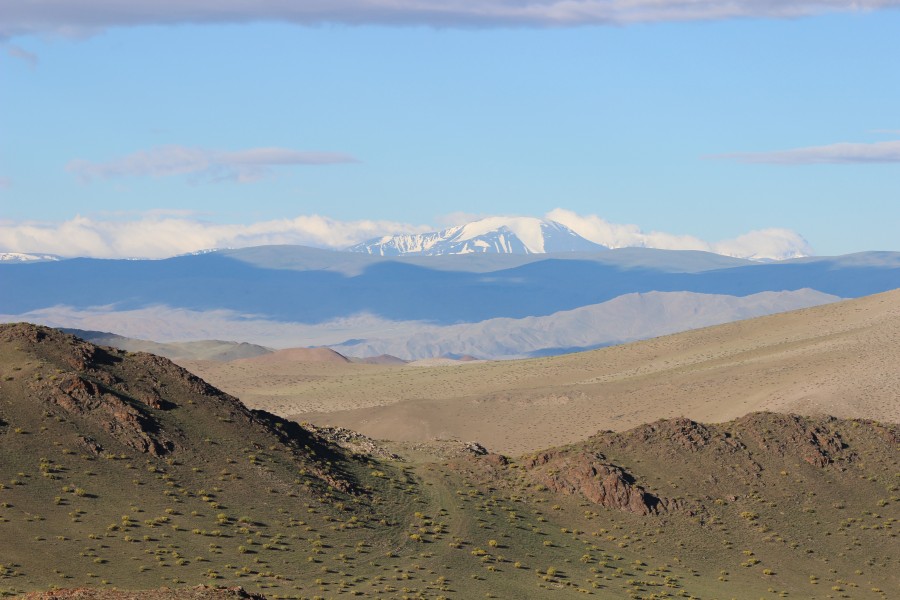 Das Altai-Gebirge mit schneebedecktem Gipfel im Hintergrund und hügeligem, karg bewachsenem Vordergrund